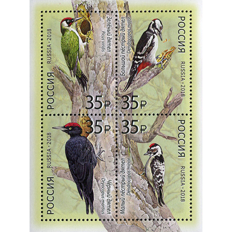 Fauna of Russia. Woodpeckers