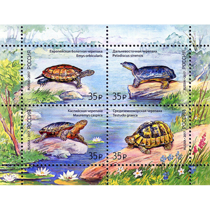 Fauna of Russia. Turtles