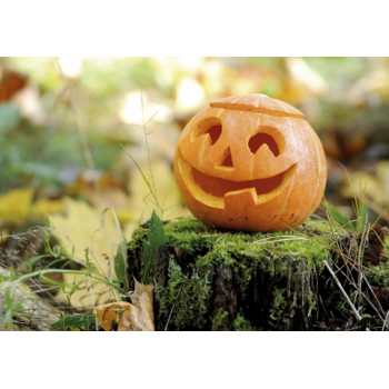 Halloween #2