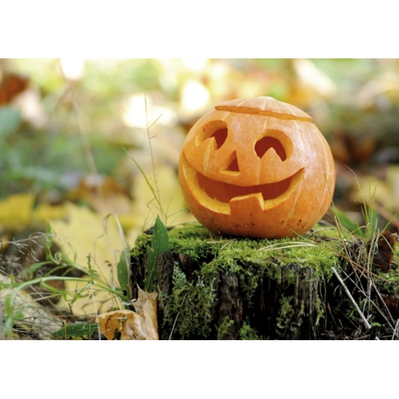 Halloween #2