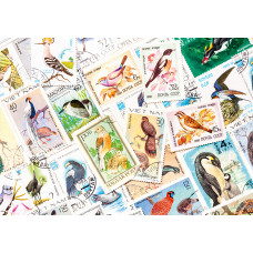 Stamps with birds