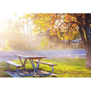 Table in the park