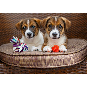 Two friends