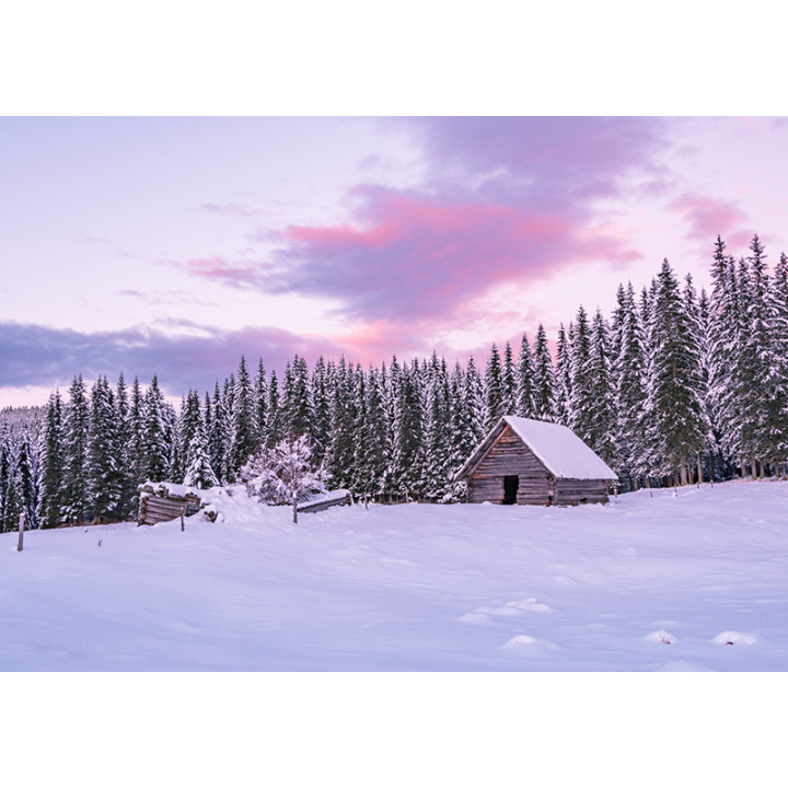 Winter landscape