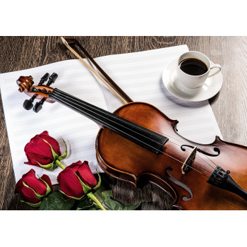 Classical violin