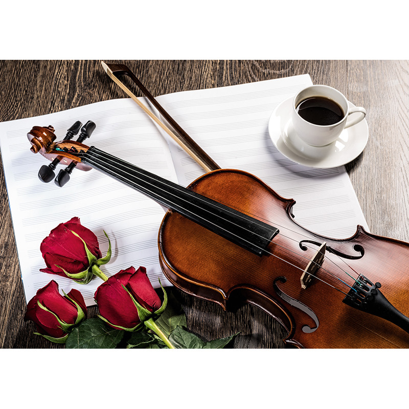 Classical violin