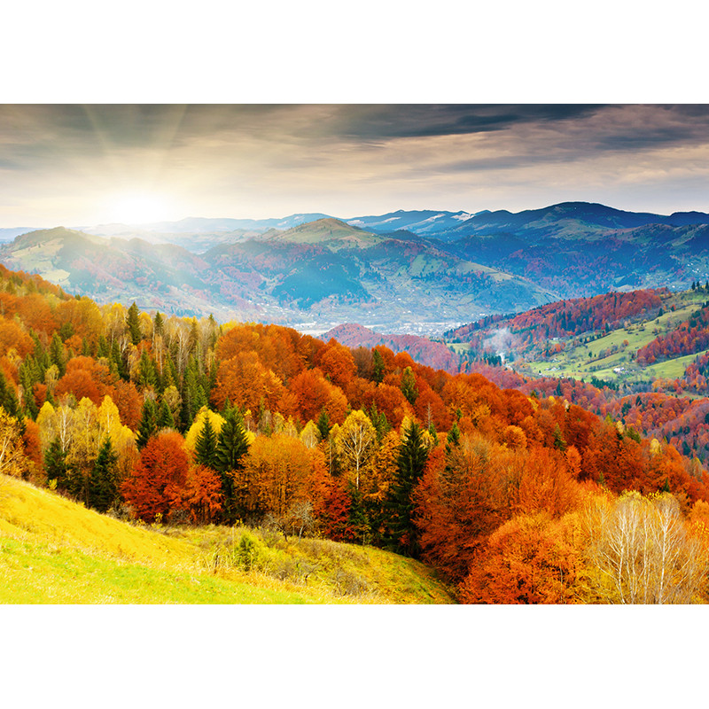 Colors of autumn