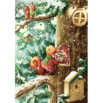 Squirrels