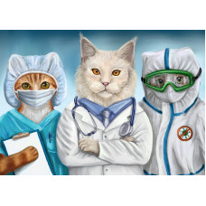 Doctors-cats