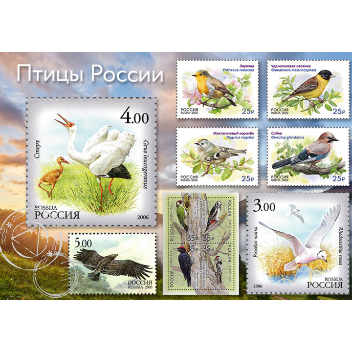 Птицы России