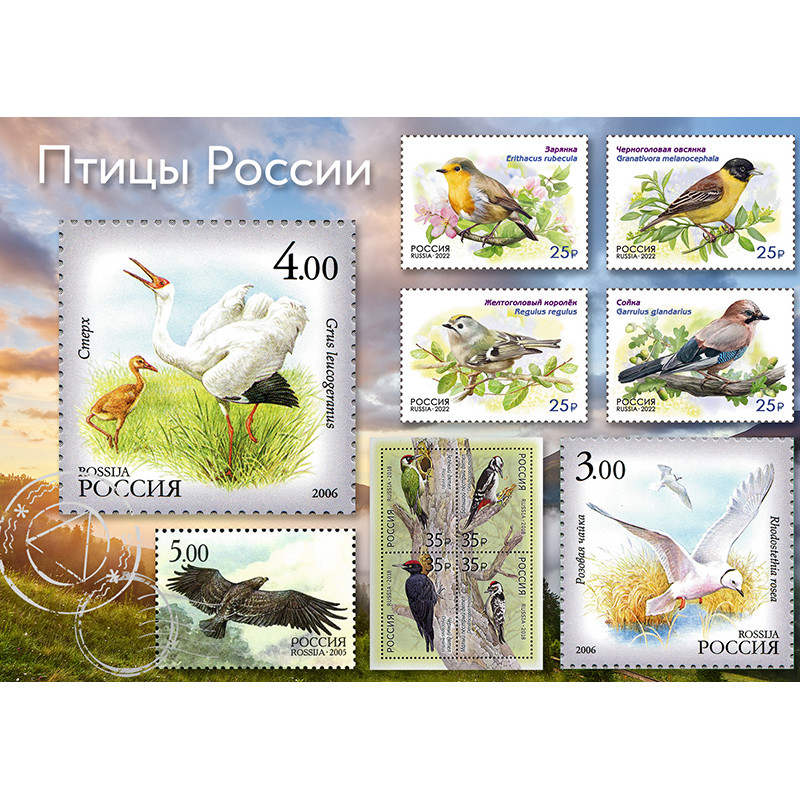 Птицы России