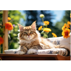 Котик на лавочке