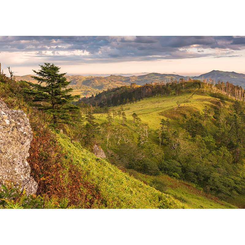Shikotan Island. Hills of Krabozavodskaya Bay