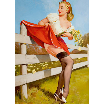 Pin Up. Fence