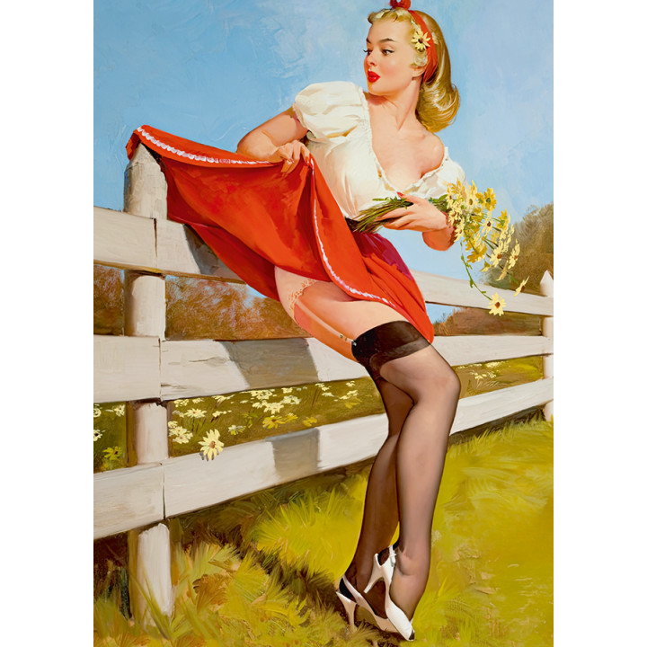 Pin Up. Забор
