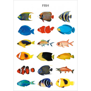 Fish