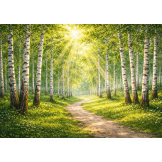 Birch grove