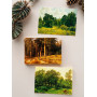Ivan Shishkin (30 postcards, 14.2*10.2 cm)
