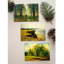 Ivan Shishkin (30 postcards, 14.2*10.2 cm)