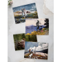 Winslow Homer (30 открыток, 14.2*10.2 см)