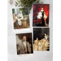 John Singer Sargent (30 открыток, 14.2*10.2 см)