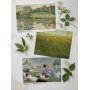 Georges Seurat (30 postcards, 14.2*10.2 cm)