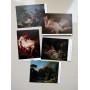 Francois Boucher (30 открыток, 14.2*10.2 см)