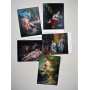 Francois Boucher (30 открыток, 14.2*10.2 см)