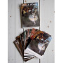Edgar Degas (30 postcards, 14.2*10.2 cm)