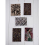 Jackson Pollock (30 открыток, 14.2*10.2 см)