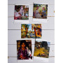 Nicolai Fechin (30 postcards, 14.2*10.2 cm)
