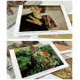 Egon Schiele (30 postcards, 14.2*10.2 cm)