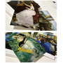 Edouard Manet (30 открыток, 14.2*10.2 см)