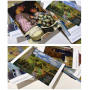 Pierre Bonnard (30 открыток, 14.2*10.2 см)
