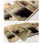 Ogata Gekko (30 postcards, 14.2*10.2 cm)