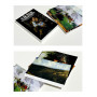 Viktor Vasnetsov (30 postcards, 14.2*10.2 cm)