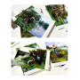 Daniel Ridgway Knight (30 postcards, 14.2*10.2 cm)